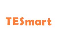 TESmart